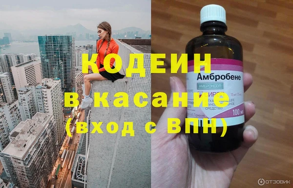 шишки Арсеньев