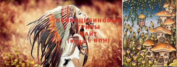 шишки Арсеньев