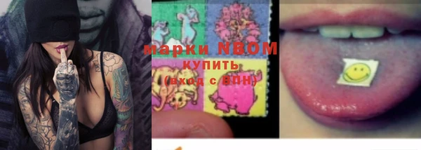 шишки Арсеньев
