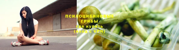 шишки Арсеньев
