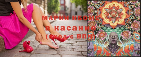 шишки Арсеньев